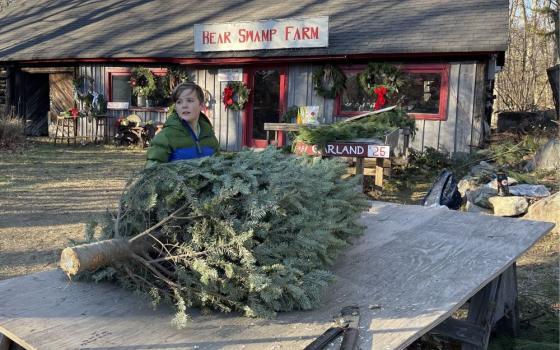 Pine tree sits on a table. Boy stands nearby.