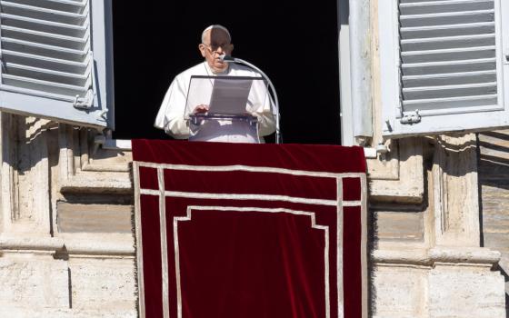 Pope Francis reads from a sheet of paper while standing in shadow in the window of his apartment