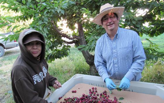 Bishop Joseph Tyson, right, meets with migrant farmworkers at a farm in Prosser, Washington, during the cherry harvest, Aug. 2, 2017. (Diocese of Yakima/Edgar Quiroga)