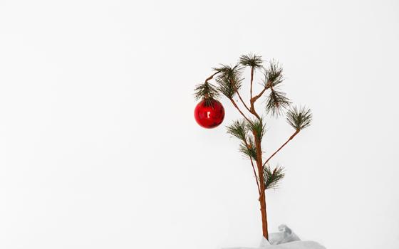 An image of a small Christmas tree with one red ball ornament