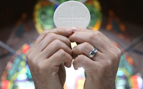 A priest raises the Eucharist in this illustration. (OSV News/CNS file/Bob Roller)