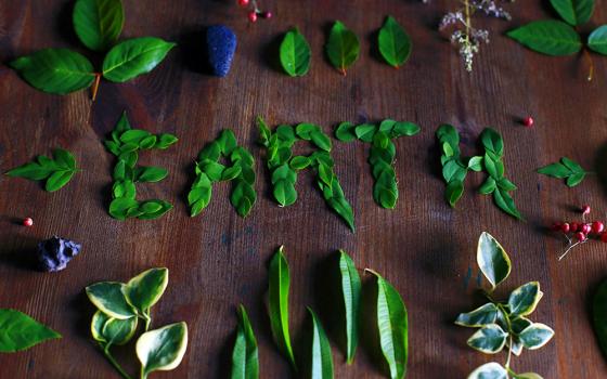 Leaves and flowers spell out the word "Earth" on a wooden table (Unsplash/Miriam Espacio)