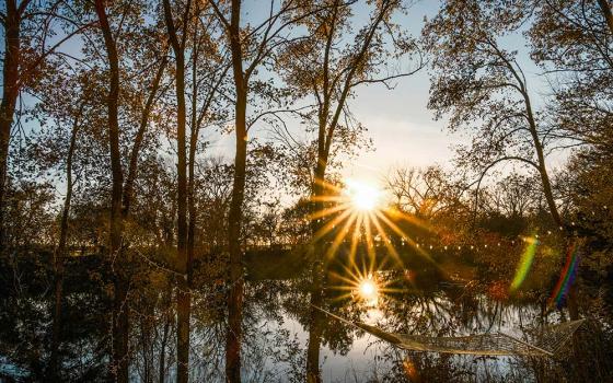 Sun shines through trees over a body of water and a hammock (Unsplash/Noah Ridge)