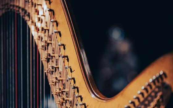 A close-up image of a harp (Unsplash/Victor Serban)