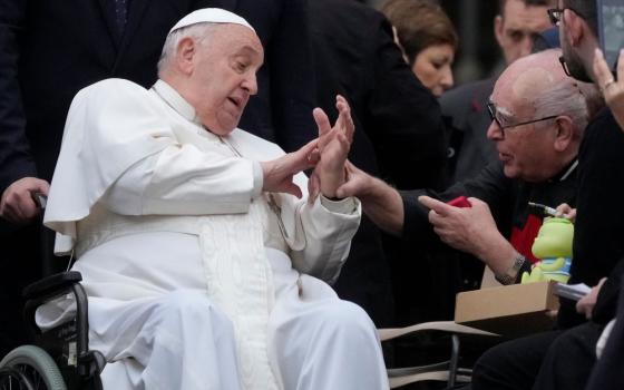 Pope Francis greets faithful during his weekly general audience in St. Peter's Square at the Vatican Nov. 20. (AP/Gregorio Borgia)