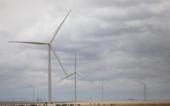 Cows graze under wind turbines in the early morning outside Albuquerque, N.M., April 28, 2023. (OSV News photo/Bob Roller)