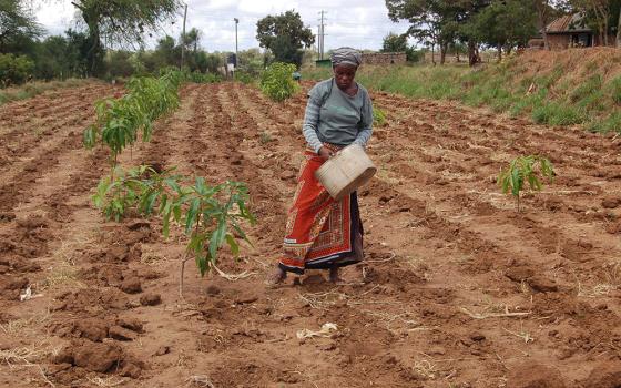 A woman plants seeds on a farm on the grounds of Our Lady of Mercy Catholic Church, March 26, 2017, in Machakos, Kenya. The farm is where they grow food for the parish and teach the local community about farming. It was through Pope Francis' teachings that Sr. Josephine Kwnega came to see farming not merely as a livelihood, but also as a sacred calling.  (CNS/Fredrick Nzwili)