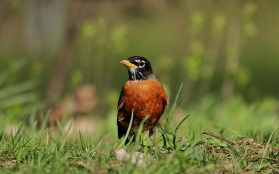 (Unsplash/Dallas Penner)