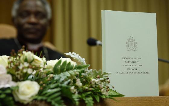 The English edition of "Laudato Si', on Care for Our Common Home," Pope Francis' encyclical on the environment is pictured during a news conference at the Vatican on June 18, 2015. At left is Cardinal Peter Turkson. (CNS/Paul Haring)