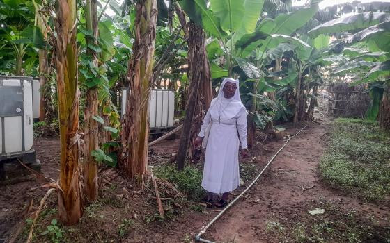 Sr. Maria Obiomachukwu Osuji walks through the farm as she inspects crops cultivated by the Sisters of the Immaculate Heart of Mary, Mother of Christ, in Aba, Nigeria. (GSR photo/John Chukhu)