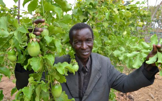 A farmer in Turkana County, Kenya, shows crops grown on his land. Sisters of Mercy operate a skills training center and health center in the area, providing practical skills and hope for people affected by drought.(Gitonga Njeru)