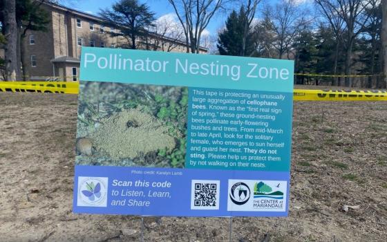 When large populations of cellophane bees nest in Mariandale, New York, in the early spring, the Dominican Sisters of Hope cordon off restricted "pollinator nesting zones" to protect the bees and post signs to educate the public. Cellophane bees are prolific fruit tree pollinators. (Courtesy of Dominican Sisters of Hope)