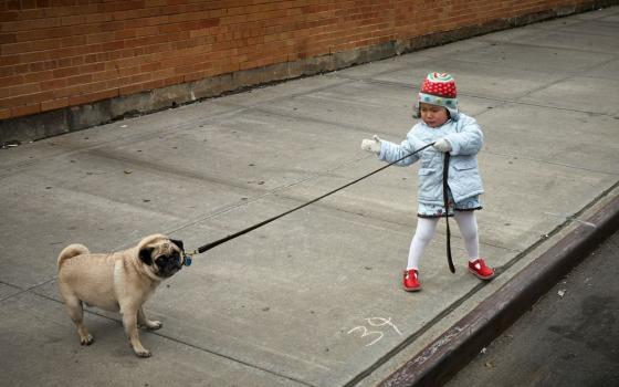 Child pulling a dog on a leash (Unsplash/Vidar Nordli-Mathisen)