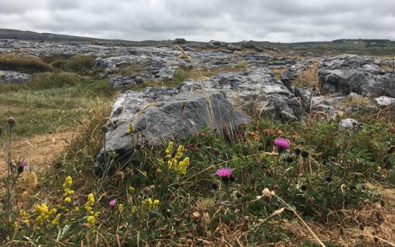 The Burren