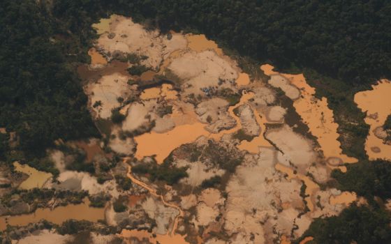 A new area of unregulated gold mining in Peru's Madre de Dios region leaves a barren, cratered scar in the forest. (Photo/Barbara Fraser)