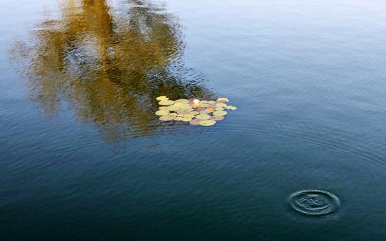 It's no small thing to stick your nose up out of the water; the risk itself inspires reverence. (Mary Bilderback)