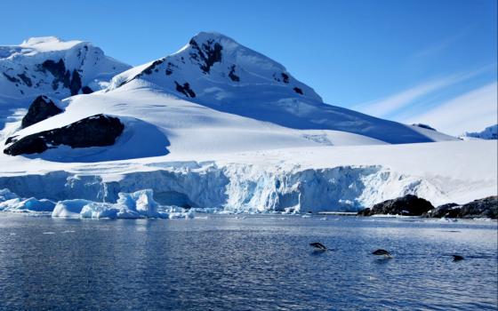 Paradise Harbor, Antarctica (Wikimedia Commons/Liam Quinn)