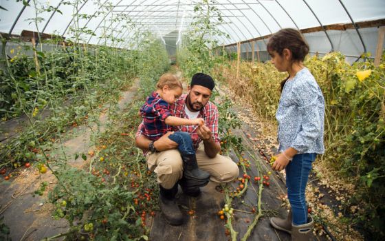 Samer Saleh with his children in a greenhouse at Halal Pastures Farm in Rock Tavern, New York. (RNS/Courtesy Halal Pastures)