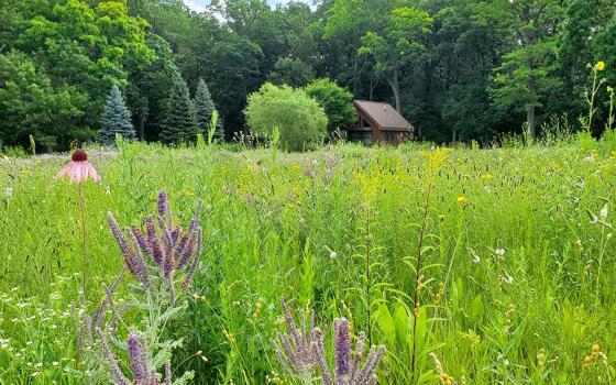 Prairie lands are among the 233 acres recently protected from commercial development with a conservation easement by the Congregation of Sisters of St. Agnes in Fond du Lac, Wisconsin. (Courtesy of the Congregation of Sisters of St. Agnes)