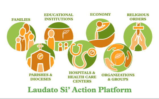 The Laudato Si' Action Platform invites seven groups on a seven-year journey to take action toward integral ecology. The seven groups are families; dioceses and parishes; schools; universities; hospitals and health care centers; businesses and farms; reli