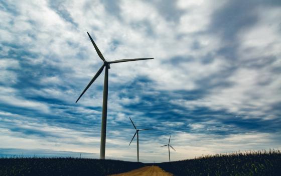 Wind turbines are seen in Iowa in August 2017. (Wikimedia Commons/Tony Webster)