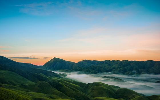 Dzukou Valley, Nagaland, India (Unsplash/Arindam Saha)