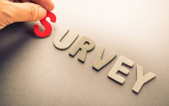 Survey (Dreamstime/Weerapat Wattanapichayakul)
