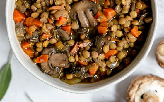 Mushroom lentil stew with carrots and spices (At Elizabeth's Table/Elizabeth Varga)