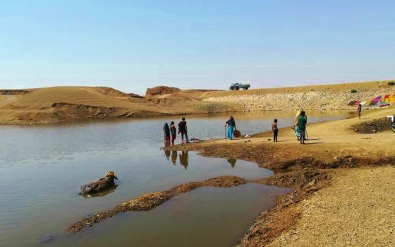 People and animals bathe in the pool created by an old check dam repaired with government support through an initiative of the Holy Spirit Sisters in Goeka Pargi village, Banswara district in Rajasthan state. (Saji Thomas)