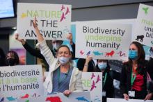 Members of World Wide Fund for Nature protest in Montreal Dec. 7, 2022, during COP15, the two-week U.N. Biodiversity Conference. (CNS/Reuters/Christinne Muschi)