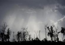 The remains of virgin Amazon rainforest are seen after it was cleared for its wood along a highway near a town in Moju, Brazil, May 26, 2012. (CNS/Reuters/Lunae Parracho) 