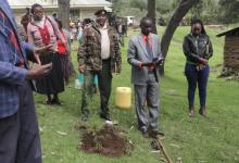 Officials with shovel prepare to plant trees