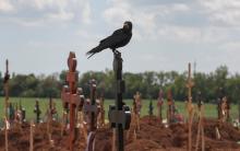 A bird sits on a cross amid newly made graves at a cemetery near Mariupol, Ukraine, May 15. (CNS/Reuters/Alexander Ermochenko)