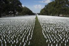 A temporary memorial for the victims of COVID-19 is seen near the armory in Washington Oct. 23. Each day the artist adds new flags to the installation as the death toll rises. As of Oct. 29, about 228,000 Americans have died from the disease. (CNS/Tyler O