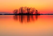 Bare trees seen in the distance grouped on an island