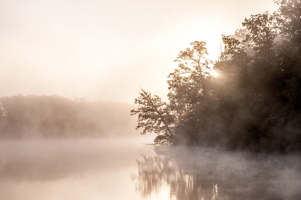 Mist on a lake (Unsplash/Todd Aarnes)