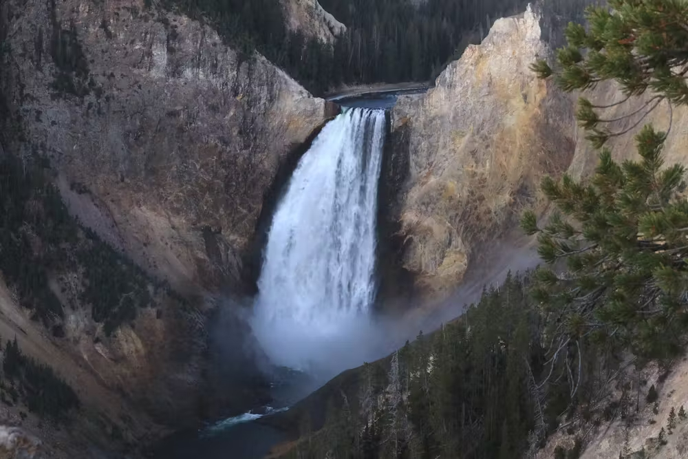 Lower Falls of the Yellowstone River, Yellowstone National Park. Thomas S. Bremer