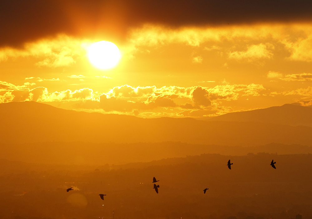 Birds fly as the sun sets over the mountains near Assisi, Italy, in this Oct. 26, 2011, file photo. St. Francis, who was born in Assisi in the 12th century, is the patron saint of ecology and his feast day is Oct. 4. (CNS/Paul Haring)