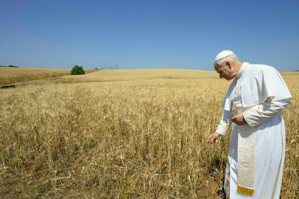 Pope Leo XIV visits a field where the Vatican is studying setting up a solar farm on land surrounding the Vatican Radio shortwave transmission center at Santa Maria di Galeria outside of Rome June 19, 2025. (CNS/Vatican Media)