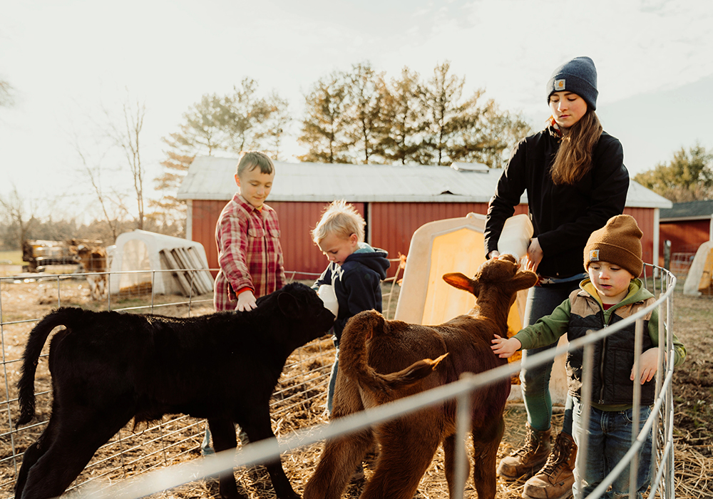 Dan and Whitney Belprez of Two Sparrows Farms in Michigan include their four children in farm duties, like milking the cows. (Courtesy of Diocese of Lansing)