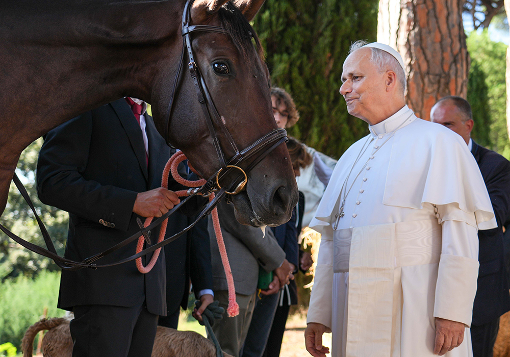 Pope Leo XIV looks at a horse as he greets farm workers in the papal gardens in Castel Gandolfo, Italy, Sept. 5, 2025. The pope inaugurated Borgo Laudato Si' the same day, officially opening the historic papal residence as a center dedicated to the principles of care for creation and human dignity outlined in Pope Francis' encyclical Laudato Si'. (CNS/Lola Gomez)