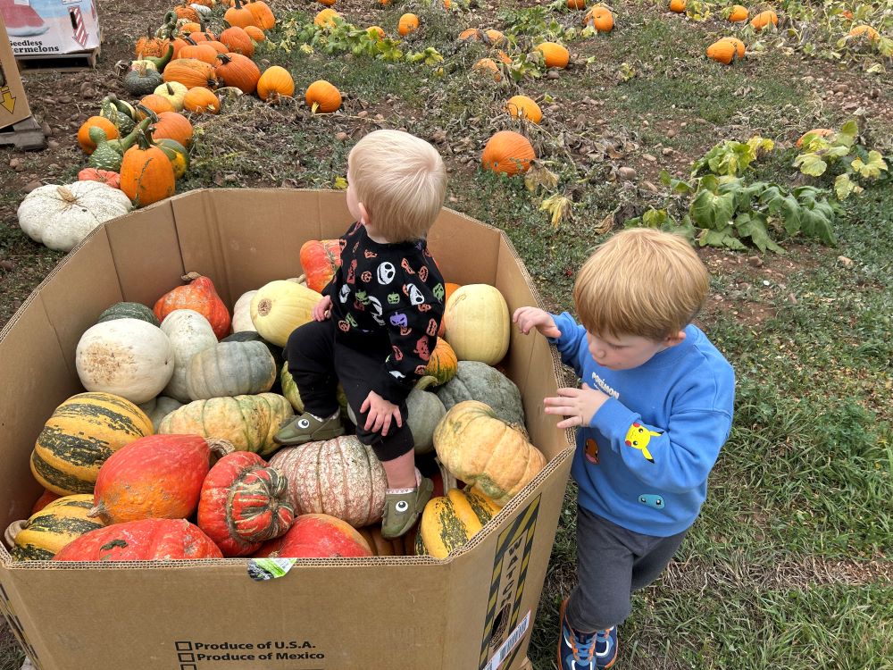 Two kids play among pile of pumpkins.