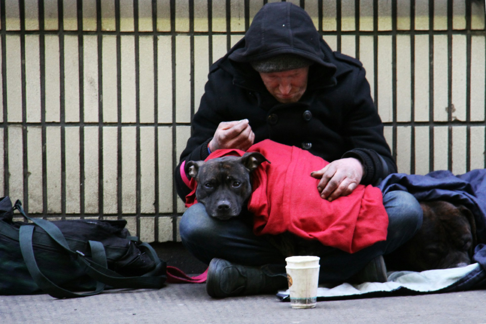 Homeless man with a dog wrapped in a red blanket.