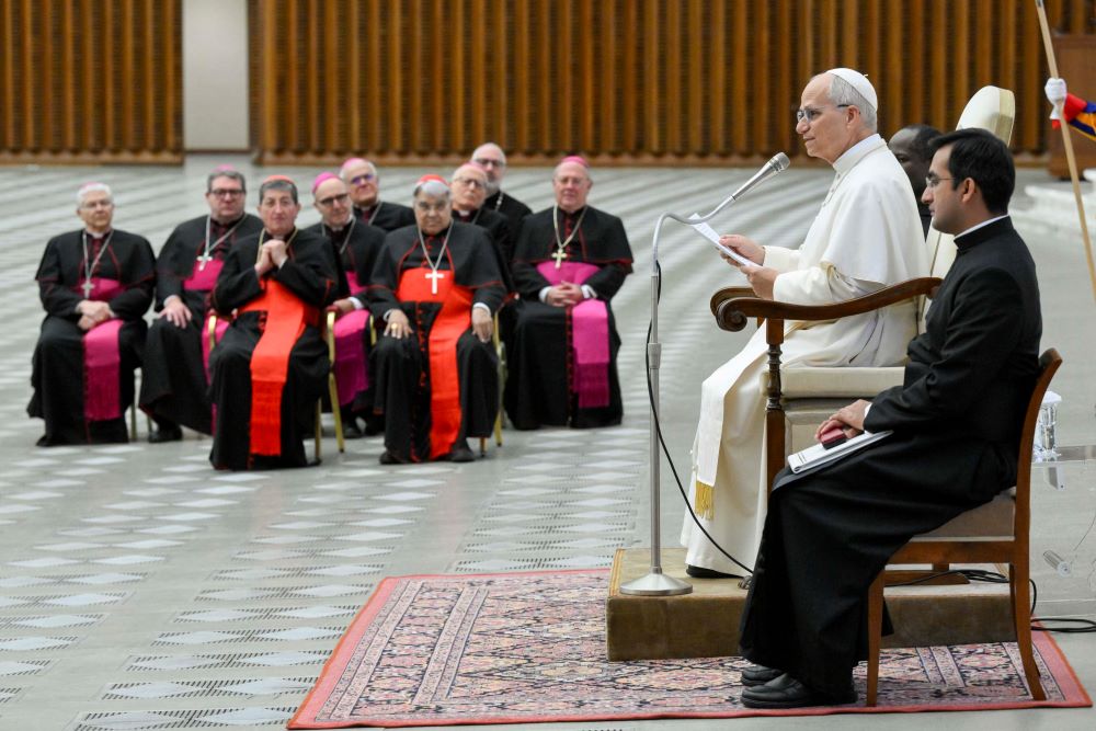 Pope Leo speaks to a group.