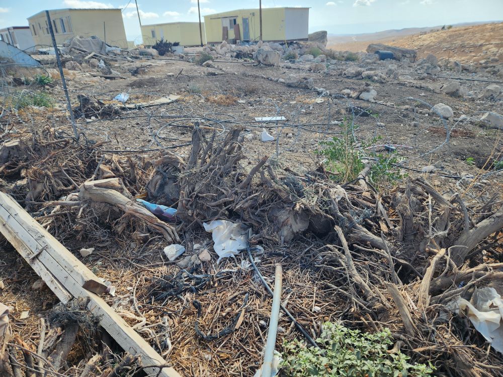 Burnt and destroyed trees and vegetation are an example of destruction of property on the perimeters of the Bedouin village Umm al-Khair by neighboring Israeli settlers.