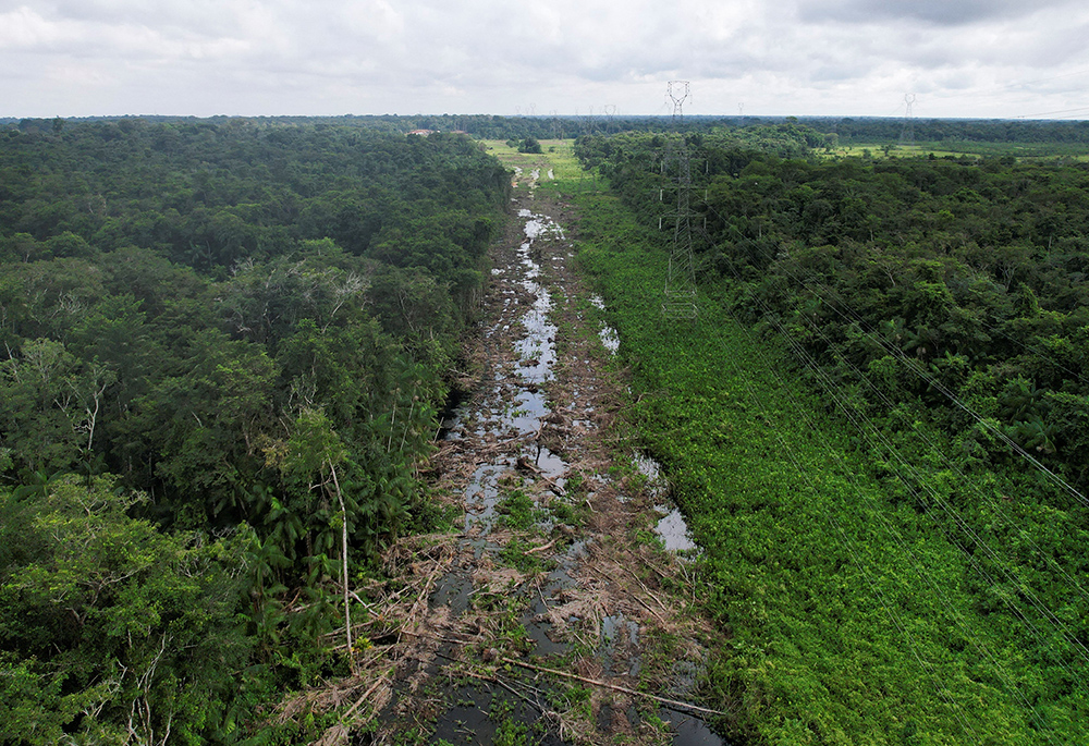 A drone view Feb. 4, 2025, shows the 8-mile-long Avenida Liberdade being constructed through protected rainforest to Belém, Brazil. (OSV News/Reuters/Adriano Machado)