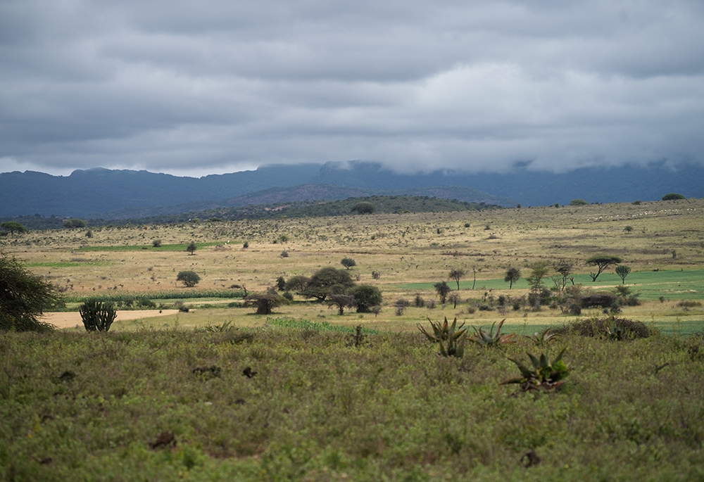 Across Ethiopia, in the Horn of Africa, Catholic development organizations, like SCIAF, CAFOD and Trócaire, have worked with rural communities to access reliable sources of clean water, which can be used to irrigate farm fields and replenish degraded landscapes. (SCIAF/James Cave)