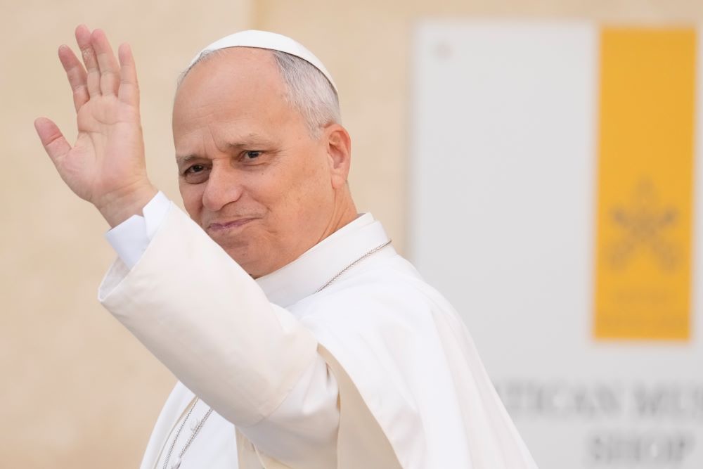 Pope Leo waves.