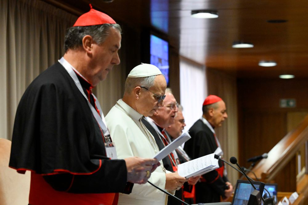 Pope Leo XIV holds a consistory with cardinals from around the world at the Vatican Jan. 7, 2026. (OSV News photo/Simone Risoluti, Vatican Media)