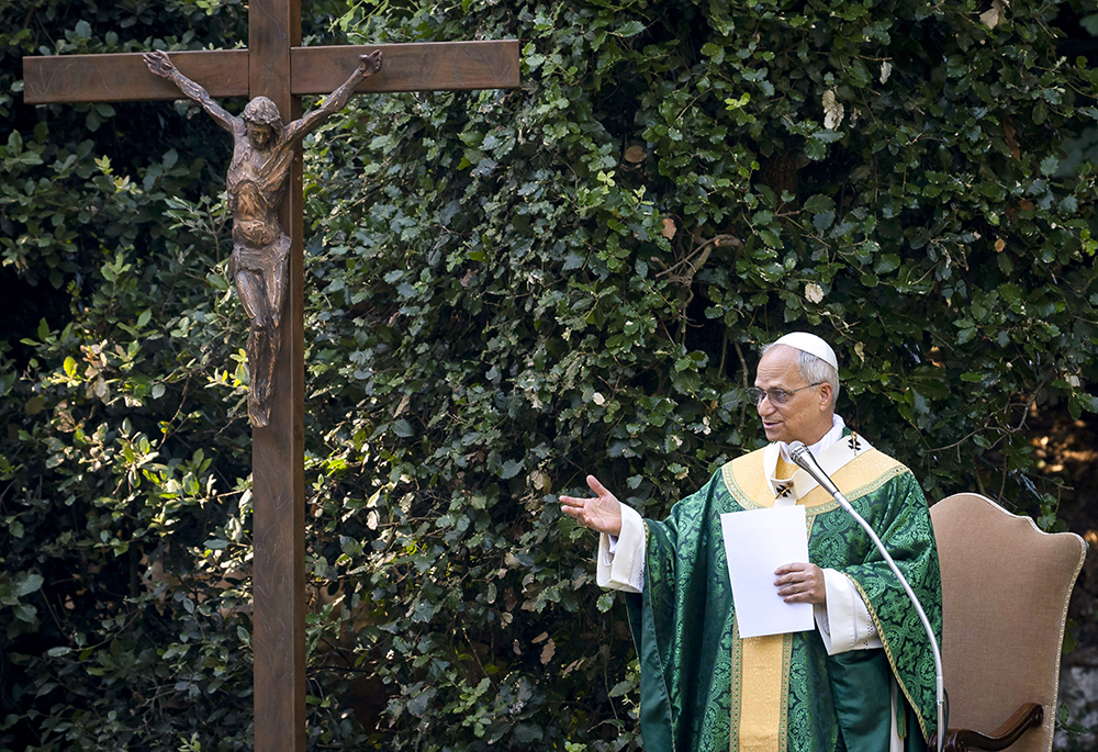 Pope Leo XIV celebrates Mass for the Care of Creation on the grounds of the Borgo Laudato Si’ ecology center in Castel Gandolfo, Italy, July 9, 2025. In his homily, the pope called for ecological conversion while drawing from the legacy of Pope Francis and his encyclical "Laudato Si', on Care for Our Common Home." (CNS/Cristian Gennari, pool)